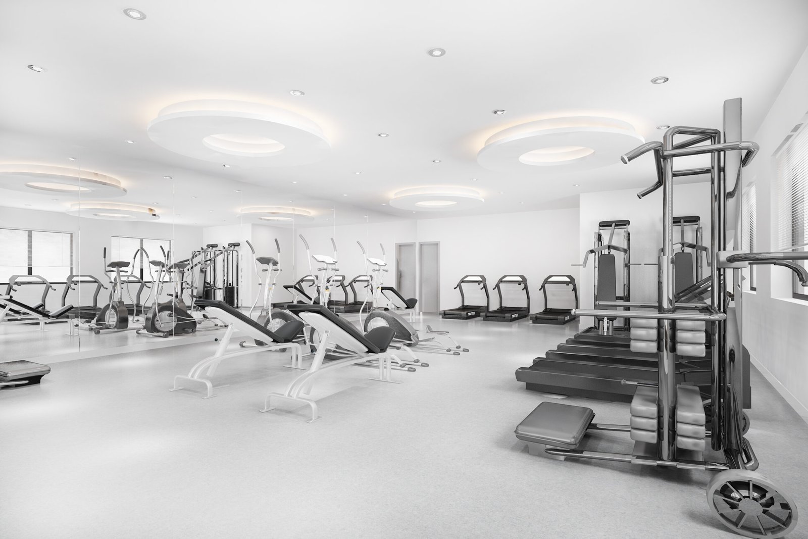 gimnasio equipado profesionalmente