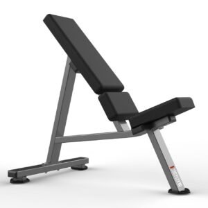 Máquina de gimnasio FW-2010 Serie FW Realleader USA