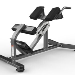 Máquina de gimnasio FW-2006 Serie FW Realleader USA