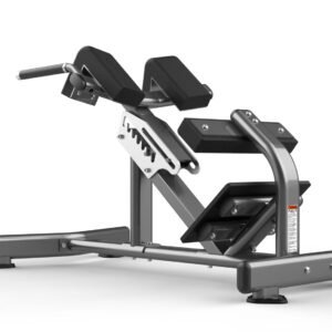 Máquina de gimnasio FW-1006 Serie FW Realleader USA