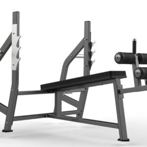 Máquina de gimnasio FW-2003 Serie FW Realleader USA