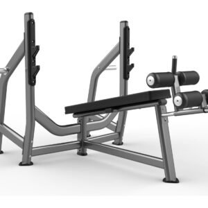 Máquina de gimnasio FW-1003 Serie FW Realleader USA