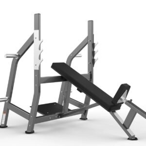 Máquina de gimnasio FW-2002 Serie FW Realleader USA