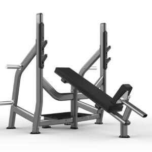 Máquina de gimnasio FW-1002 Serie FW Realleader USA