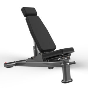 Máquina de gimnasio FW-1013 Serie FW Realleader USA
