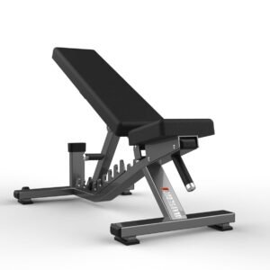 Máquina de gimnasio FW-2008 Serie FW Realleader USA