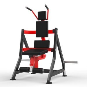 Máquina de gimnasio RS-1037 Serie RS Realleader USA