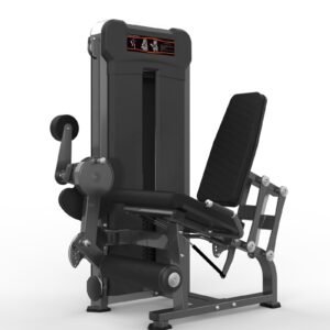 Máquina de gimnasio  Serie  Realleader USA