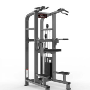 Máquina de gimnasio PF-1008 Serie PF Realleader USA
