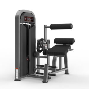 Máquina de gimnasio  Serie  Realleader USA