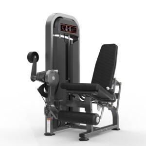 Máquina de gimnasio  Serie  Realleader USA