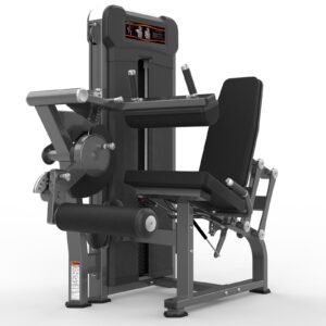 Máquina de gimnasio  Serie  Realleader USA