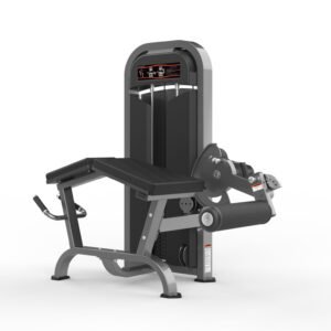 Máquina de gimnasio  Serie  Realleader USA