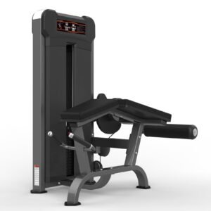 Máquina de gimnasio  Serie  Realleader USA