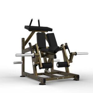 Máquina de gimnasio LD-2002 Serie LD Realleader USA