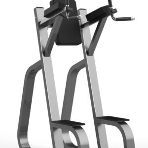 Máquina de gimnasio FW-2025 Serie FW Realleader USA
