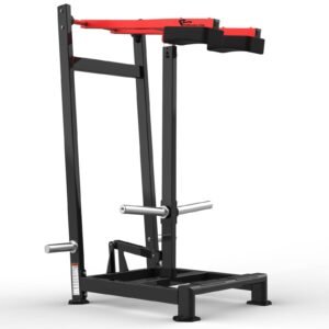 Máquina de gimnasio RS-1019 Serie RS Realleader USA