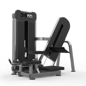 Máquina de gimnasio  Serie  Realleader USA