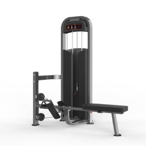 Máquina de gimnasio  Serie  Realleader USA