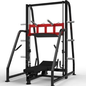 Máquina de gimnasio RS-1039 Serie RS Realleader USA
