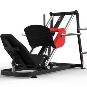 Máquina de gimnasio RS-1029 Serie RS Realleader USA