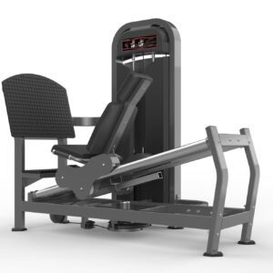 Máquina de gimnasio  Serie  Realleader USA