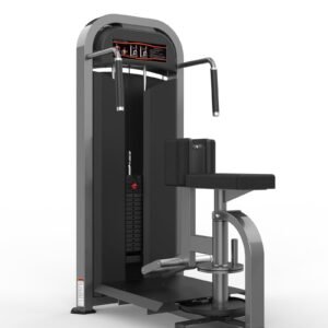 Máquina de gimnasio  Serie  Realleader USA