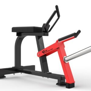 Máquina de gimnasio RS-1036 Serie RS Realleader USA