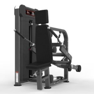 Máquina de gimnasio  Serie  Realleader USA