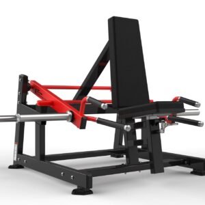 Máquina de gimnasio RS-1032 Serie RS Realleader USA