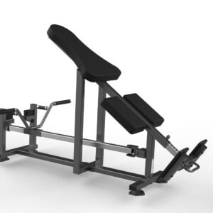 Máquina de gimnasio FW-2011 Serie FW Realleader USA
