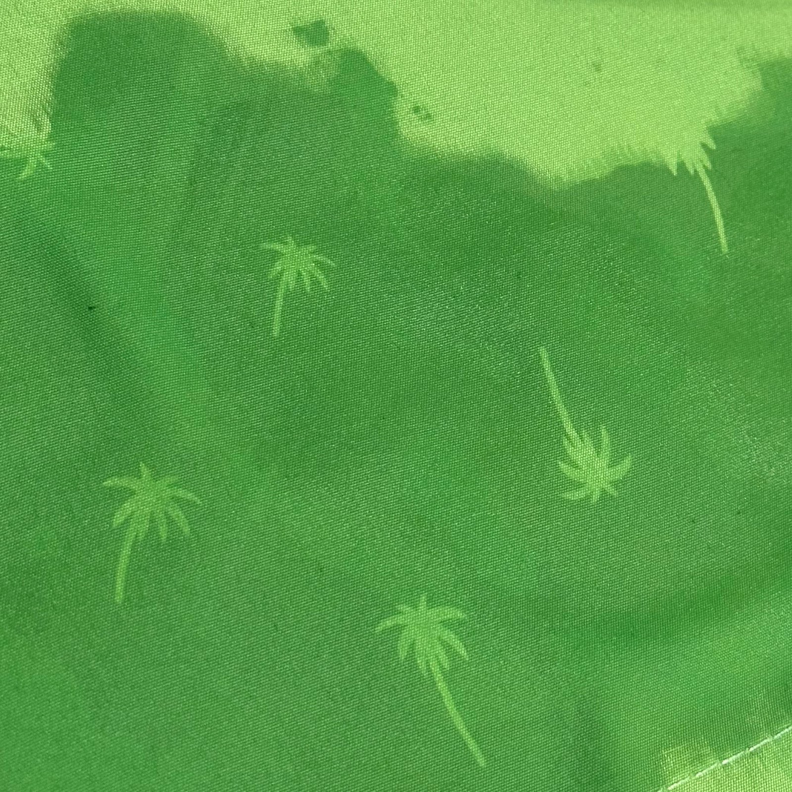 bañador softee palm estampado